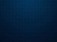 サイバーグリッド